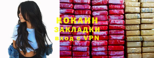 мдпв Осташков