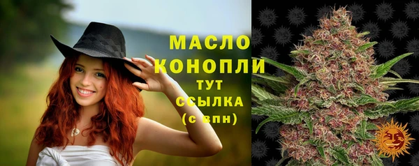 мдпв Осташков