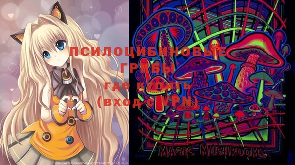 мдпв Осташков